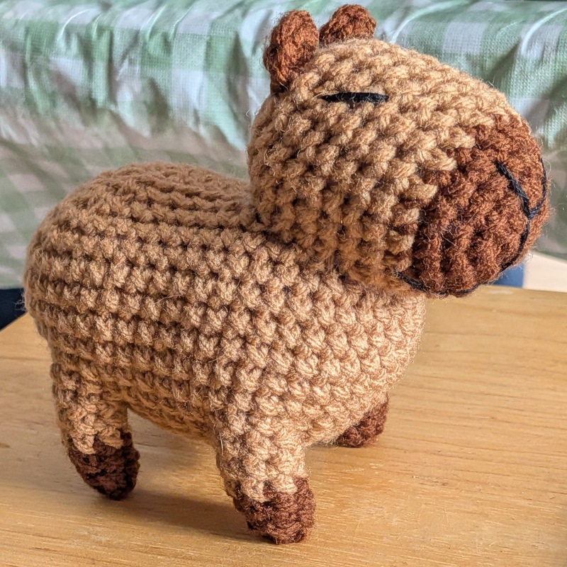 2026/09 Capybara